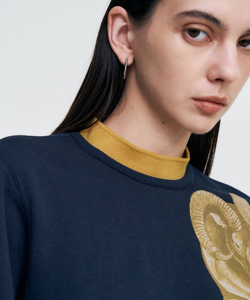 Double Rib Sweatshirt - Dall Sheep _ NAVY