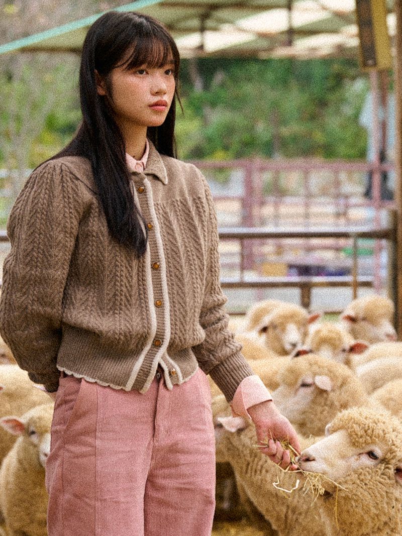 Wavy Collar Cable Merino Cardigan (Brown)