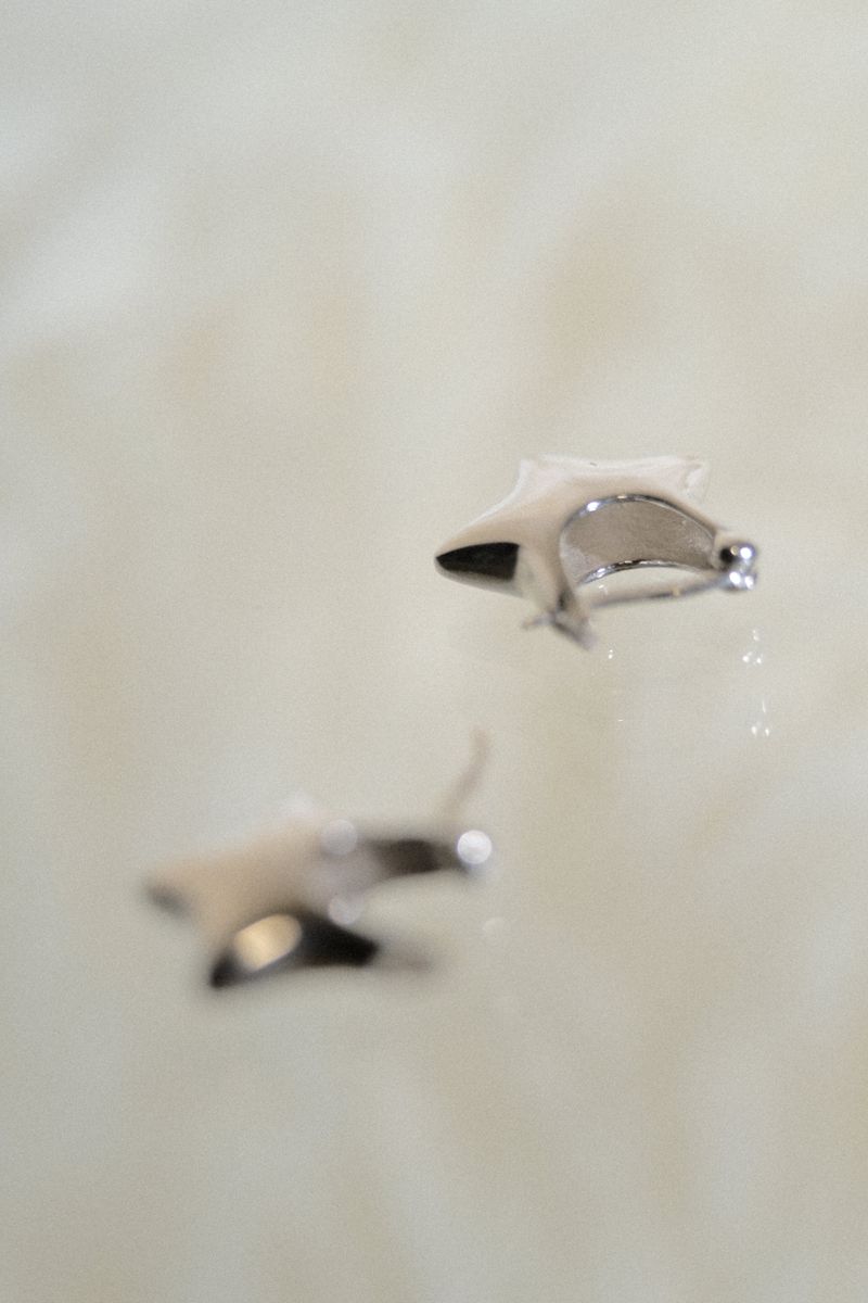 METALIC STAR POCKET EARRINGS