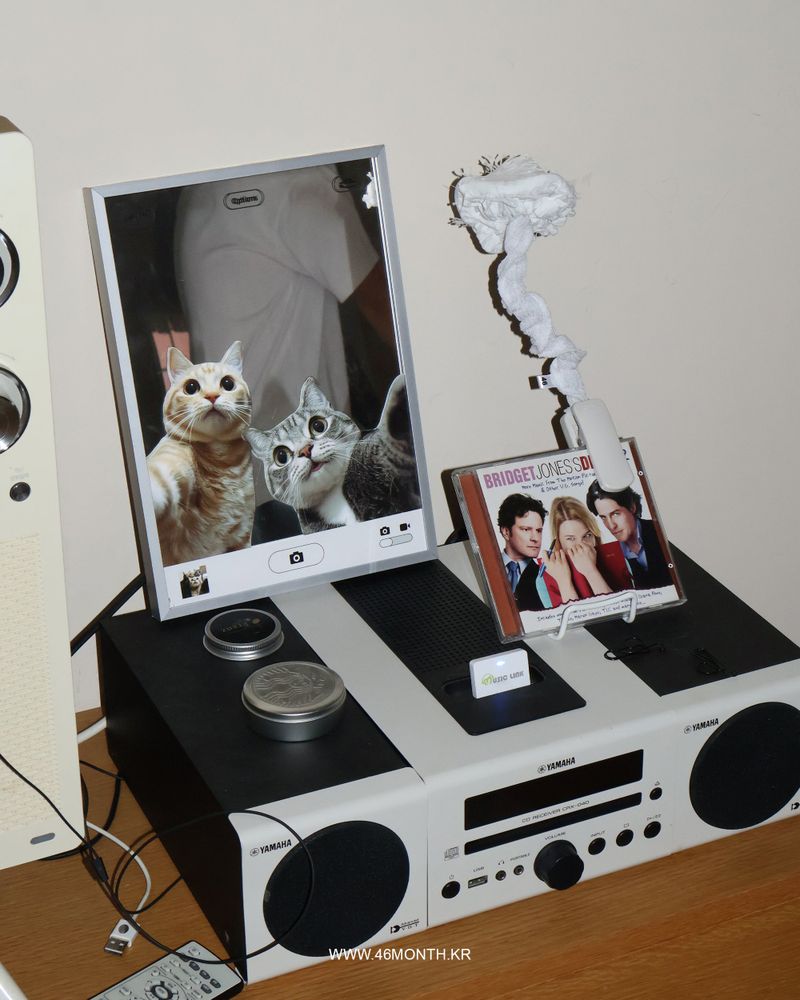 SELFIE CAT POSTER MIRROR 