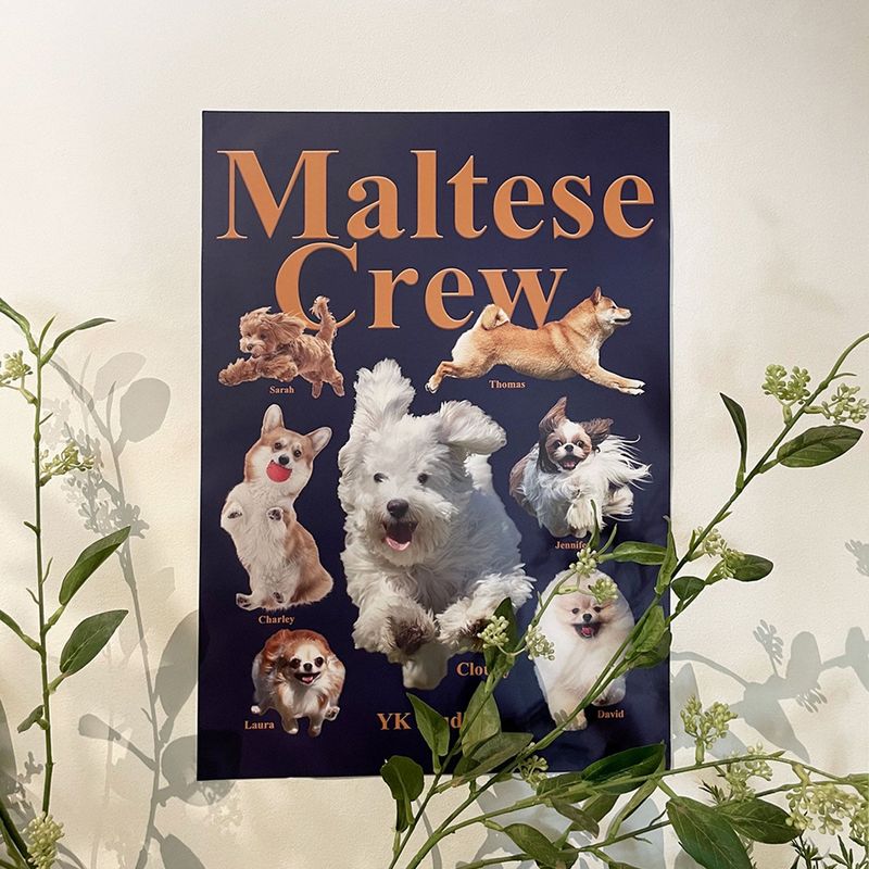 WaiKei(ワイケイ)の「Maltese crew matt POSTER A3(Fashion Accessories)」