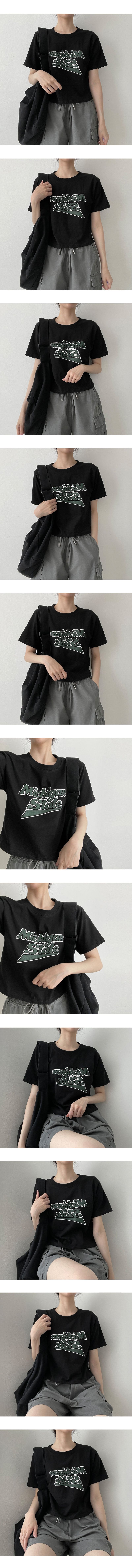 Michigan Short Sleeve Tea