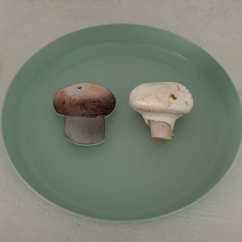 inimini（イニミニ）の「Mushroom griptok（Smartphone Accessories）」