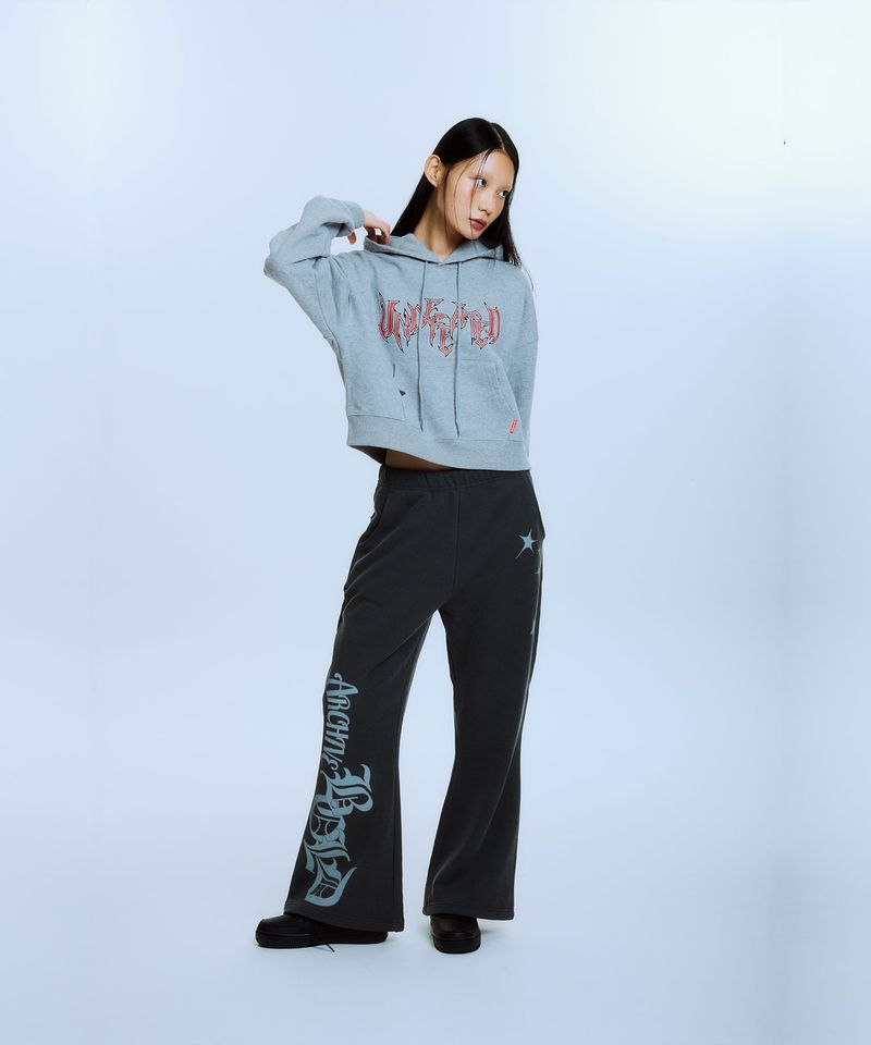 UNDEFEATED CROP HOOD (GRAY)