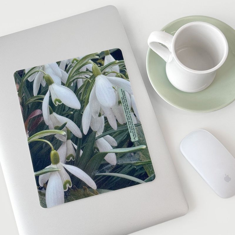 oab photo mousepad set / 2 pieces