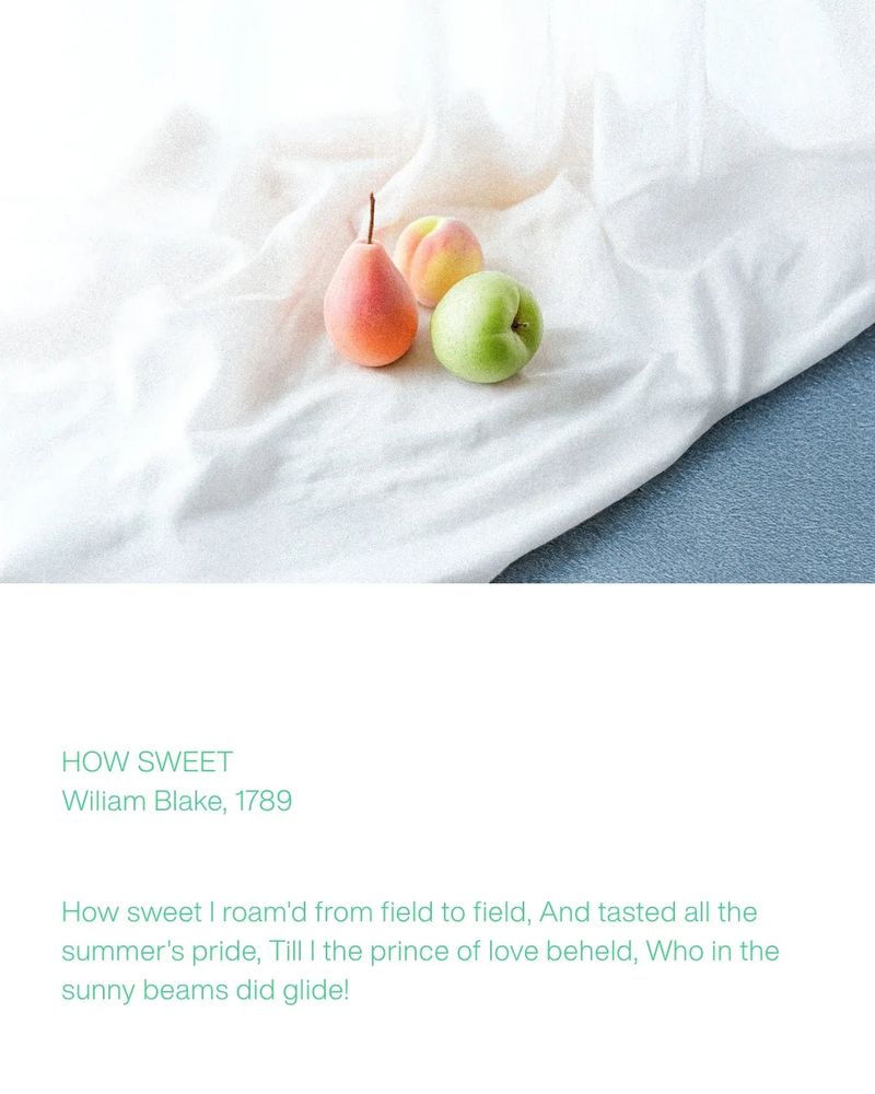 Summer Sweets_Silver iPhone Galaxy Case(MagSafe)