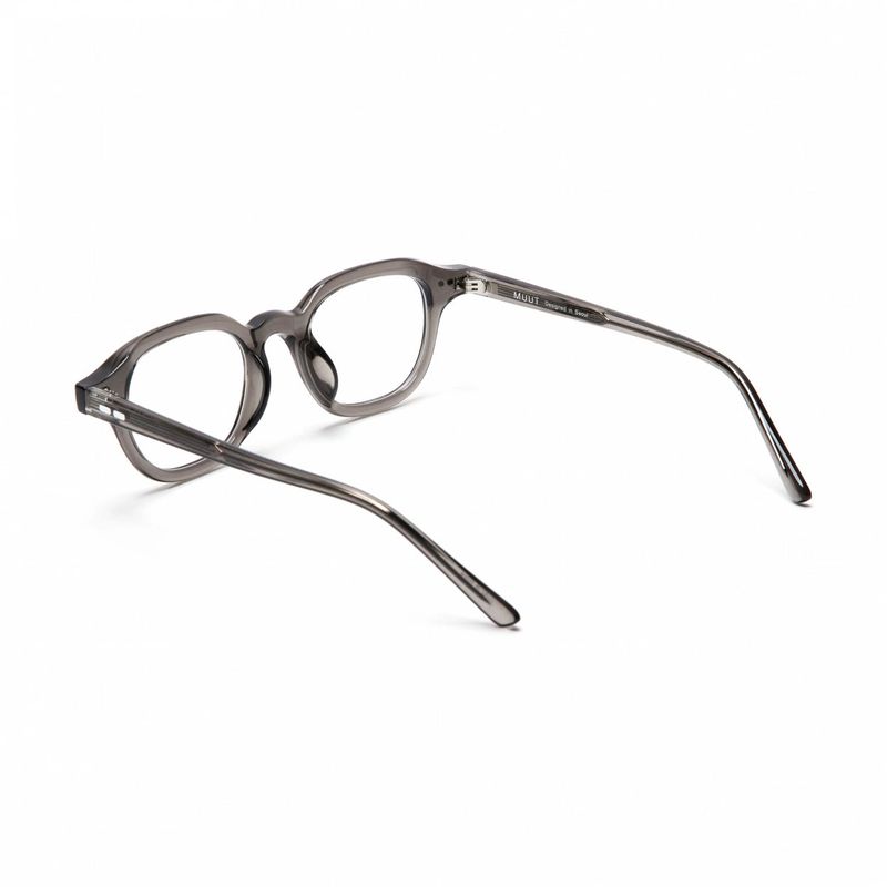 Horn-Trimmed Transparent Glasses Y.LAB 05 C02