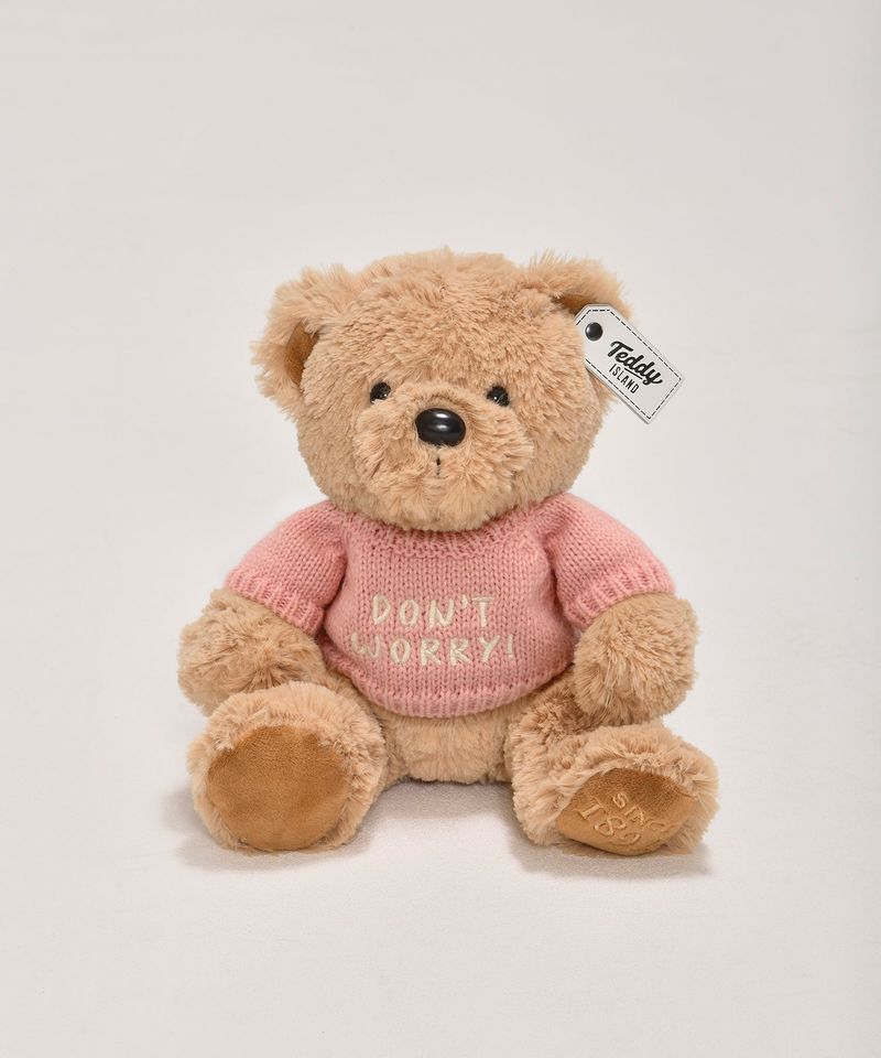 Message Teddybear [PINK]