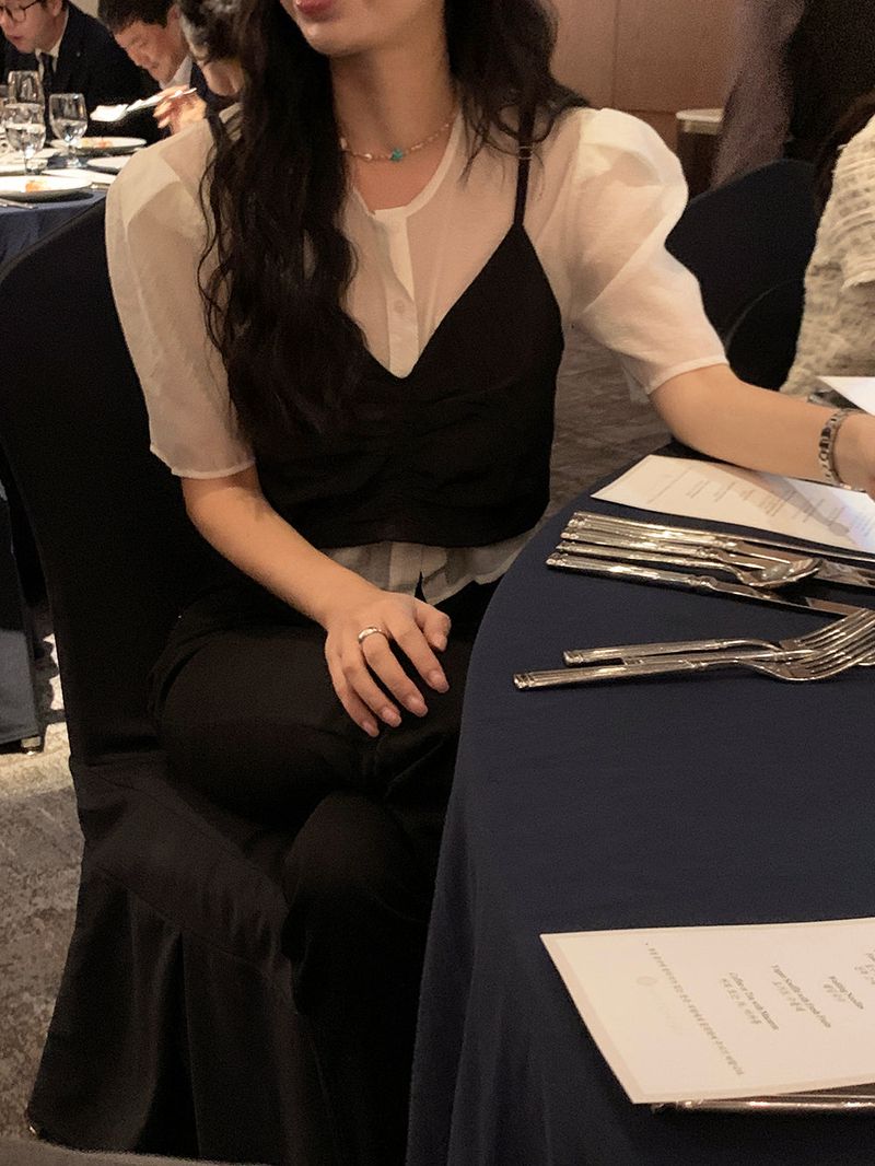 [MADE] ERT SEE-THROUGH PUFF BLOUSE
