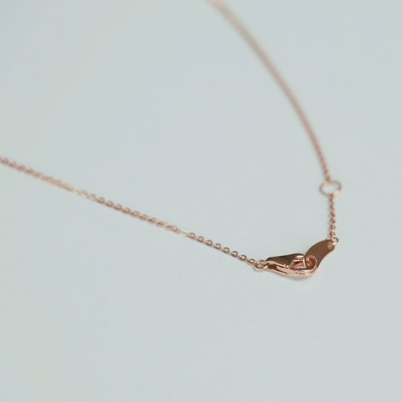 14K gold nar necklace
