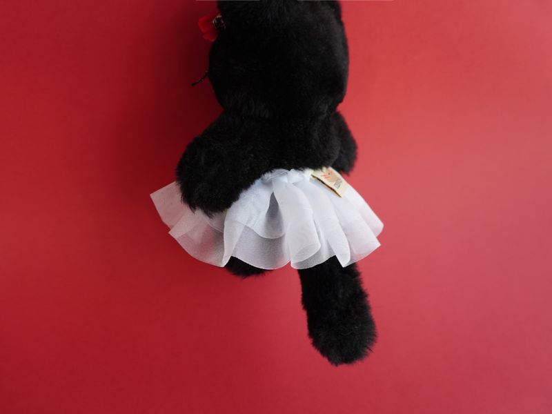 [SET] Cosymosy Ballerina Black Cat Keyring