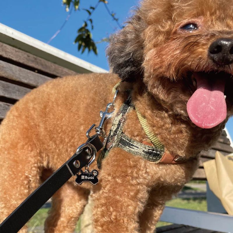 Genuine leather pet leash