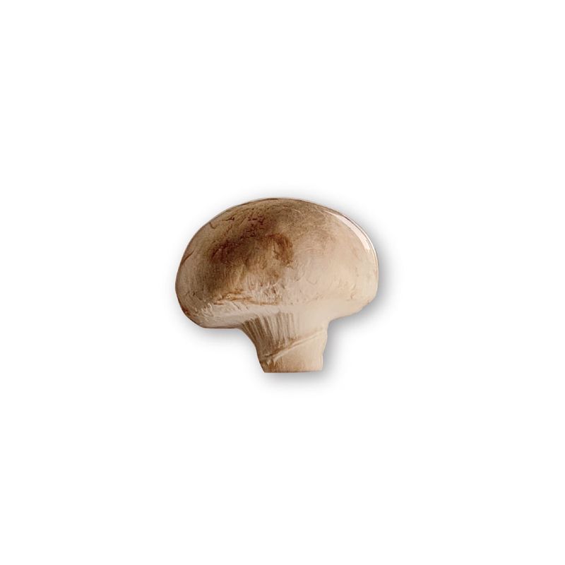 PHONO PHONO(フォノフォノ)の「MUSHROOM GRIP TOK(Smartphone Accessories)」