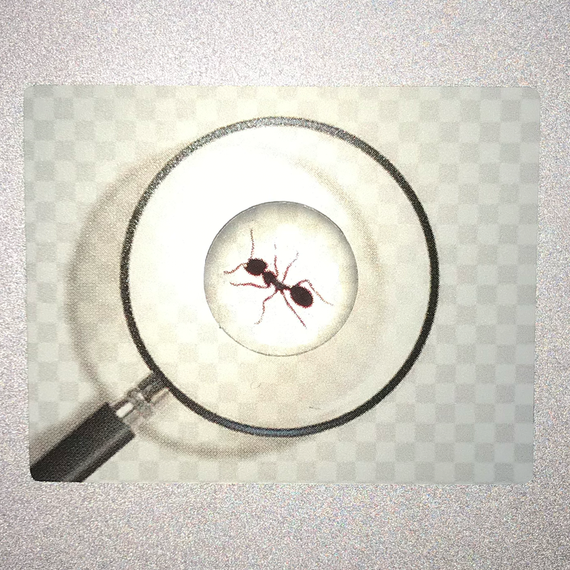 @c.h.a.e.e.o.n epoxy sticker