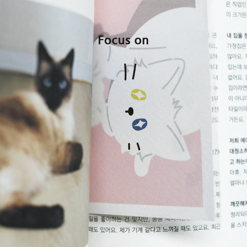 Poundcat Post card
