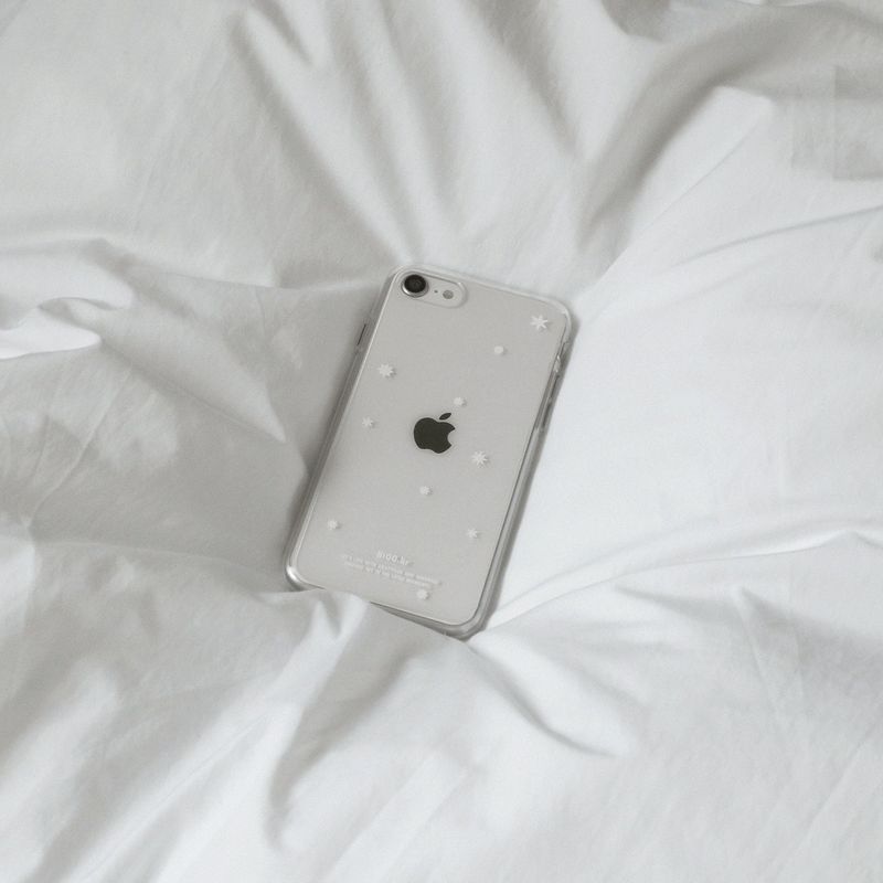 snowy case.