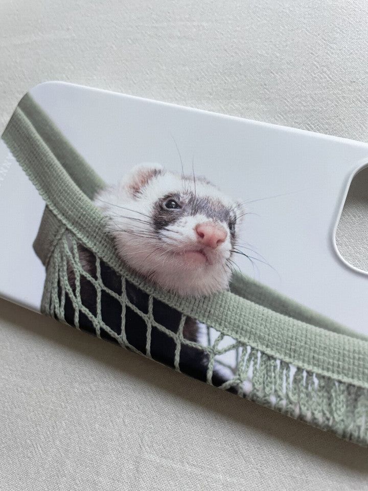 [my fluffy ferret in hammock hard case]