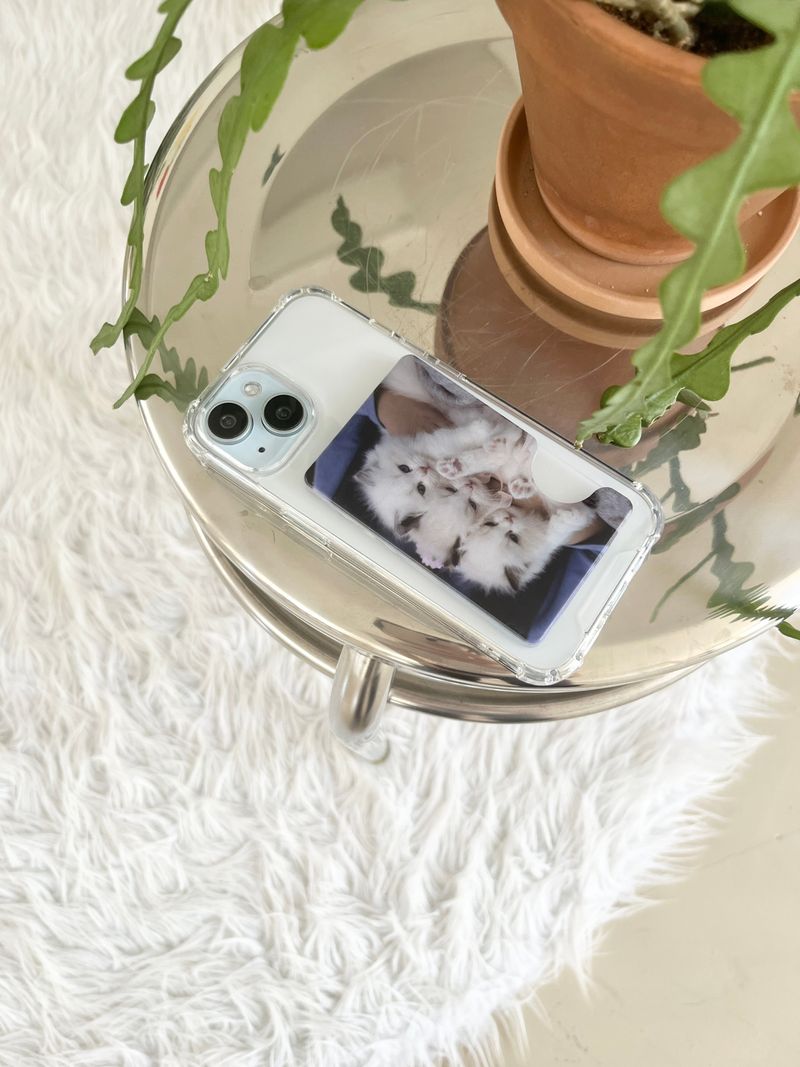 [three kitty sisters magsafe cardslot]