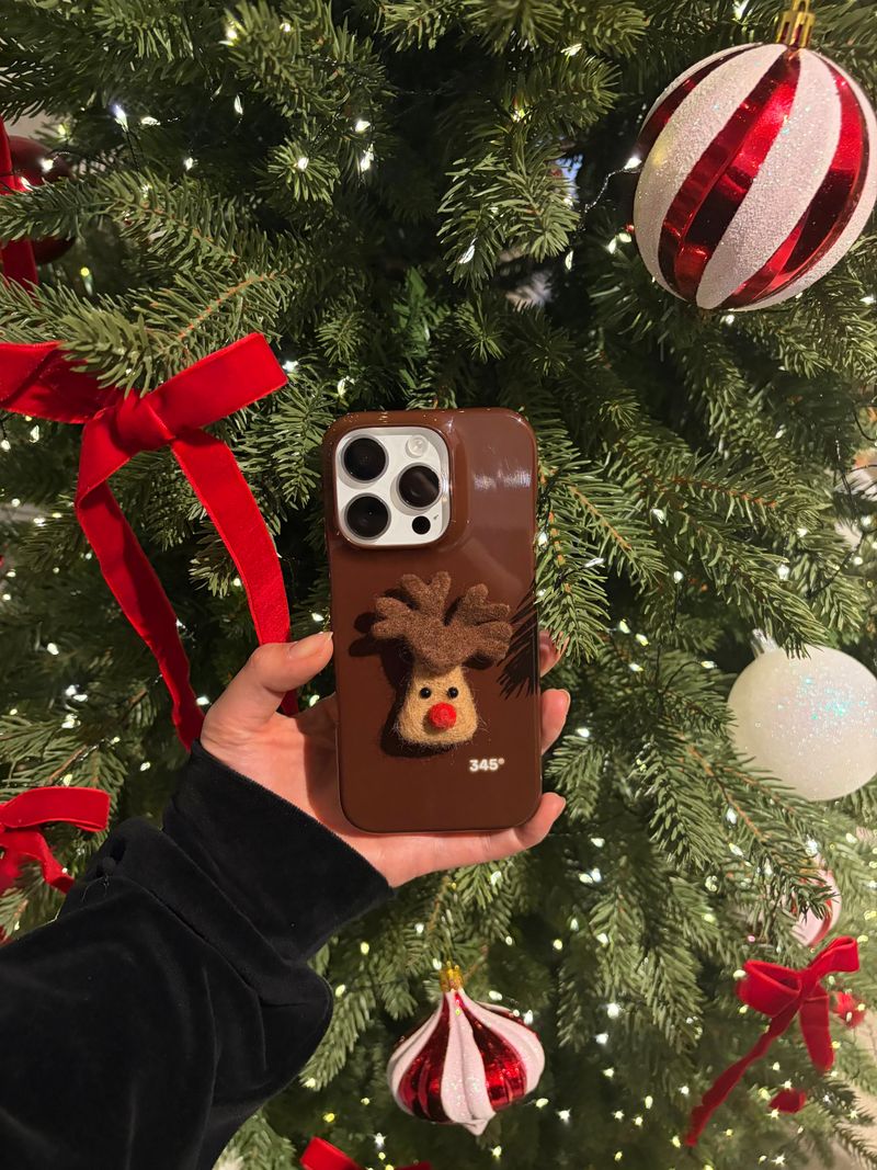 Rudolph Felt Hard Case / TREEFORFIVE345