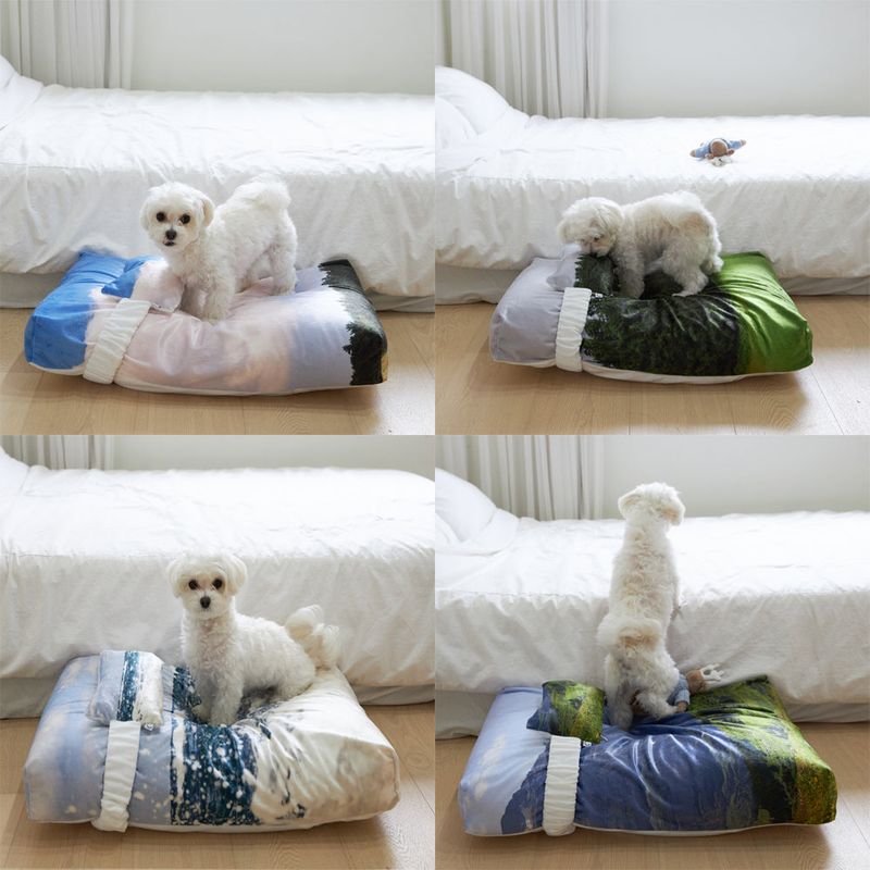 photozeniagoods(フォトゼニアグッズ)の「Jeju, Swiss pet cushion + cover set 4 design(Smartphone Accessories)」