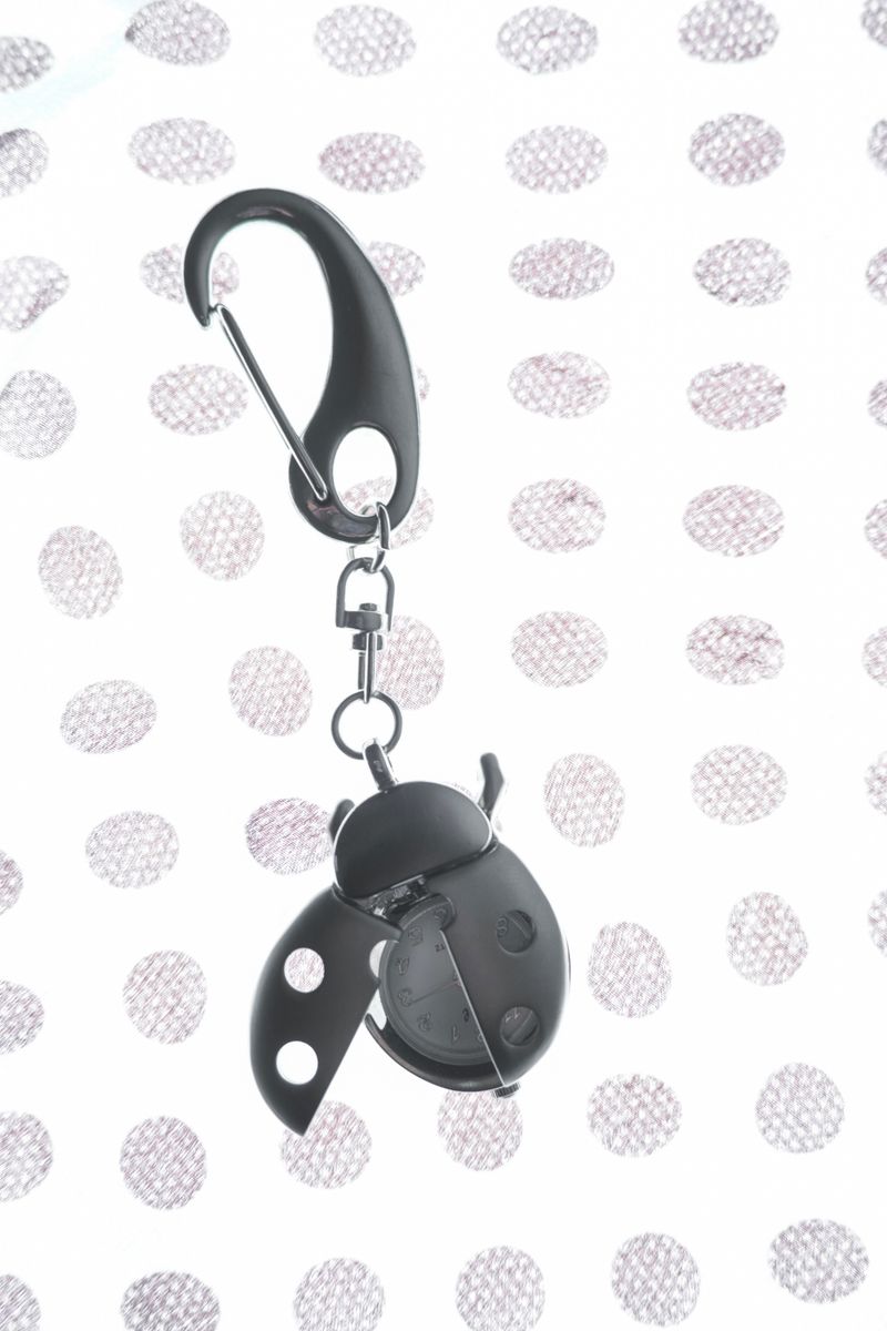 Ladybug Keyring