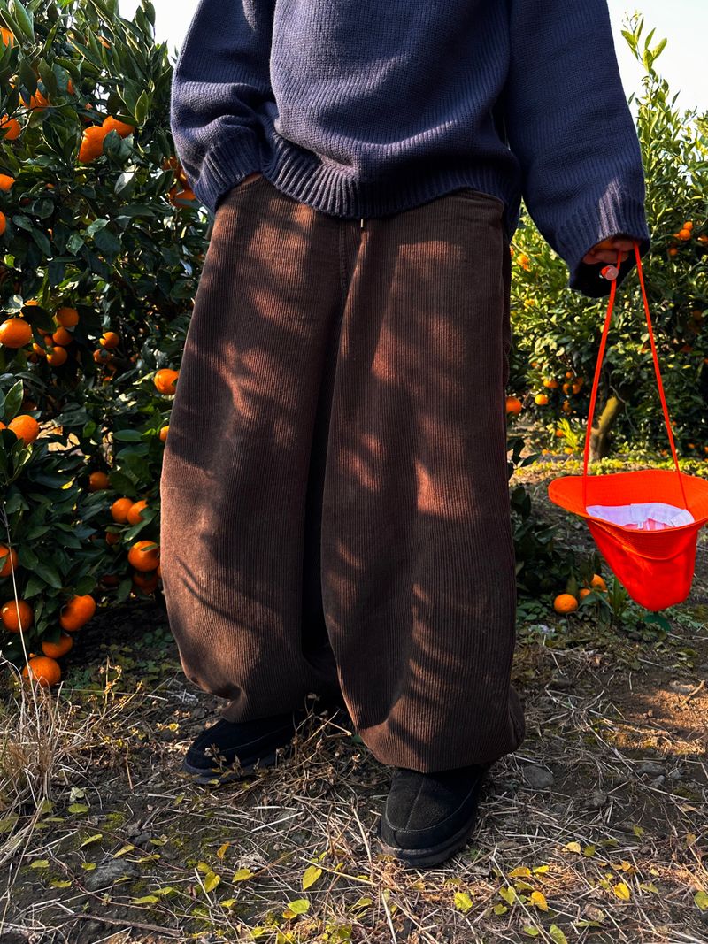 DISCERNMENT(ディサーンメント)の「Dane Corduroy Balloon Pants 5C(Pants)」