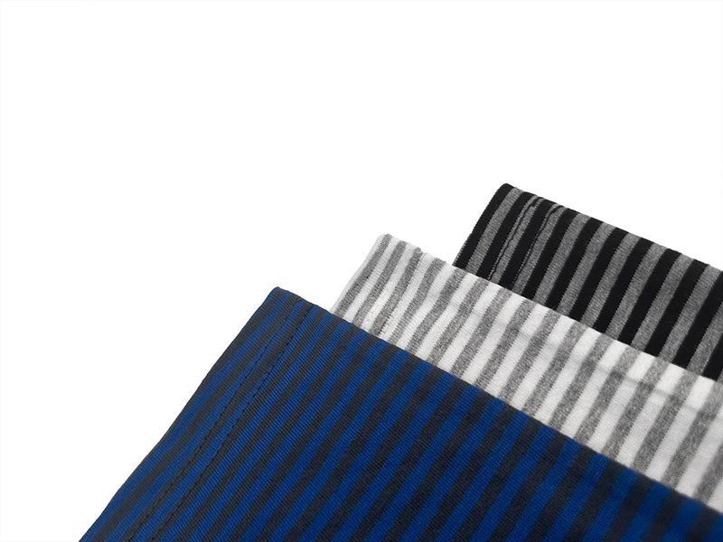 Phil Layer Stripe Hoodie