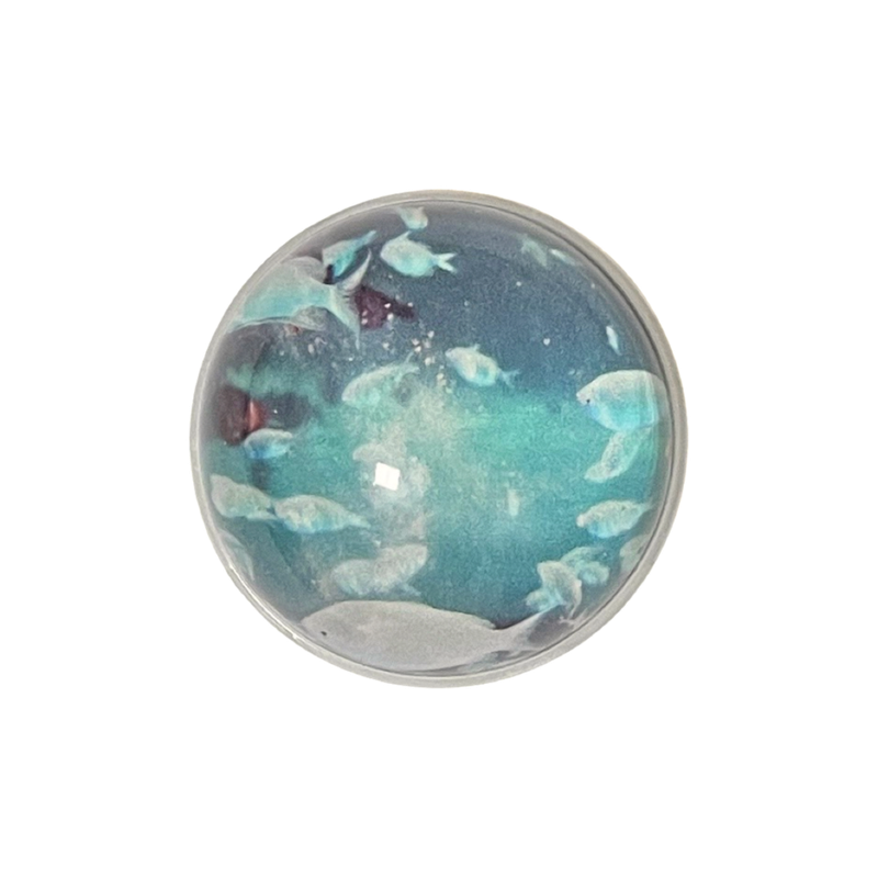 [my little aquarium tok]