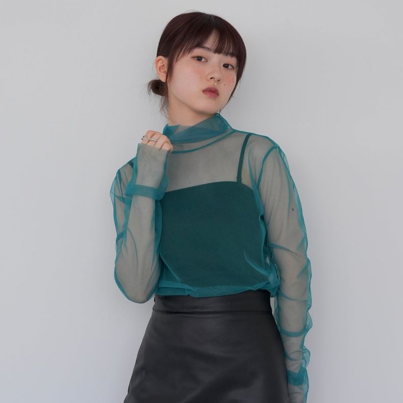 sheer mesh turtleneck