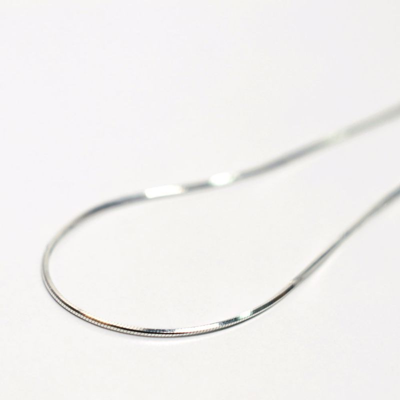 silver thin snake chain anklet (silver