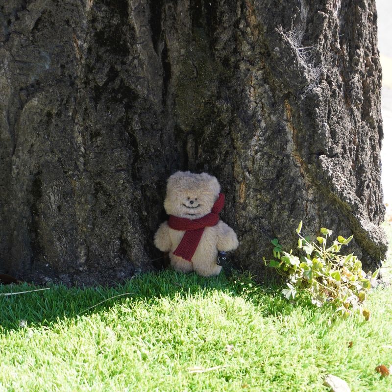 tuteogi brown doll keyring burgundy muffler