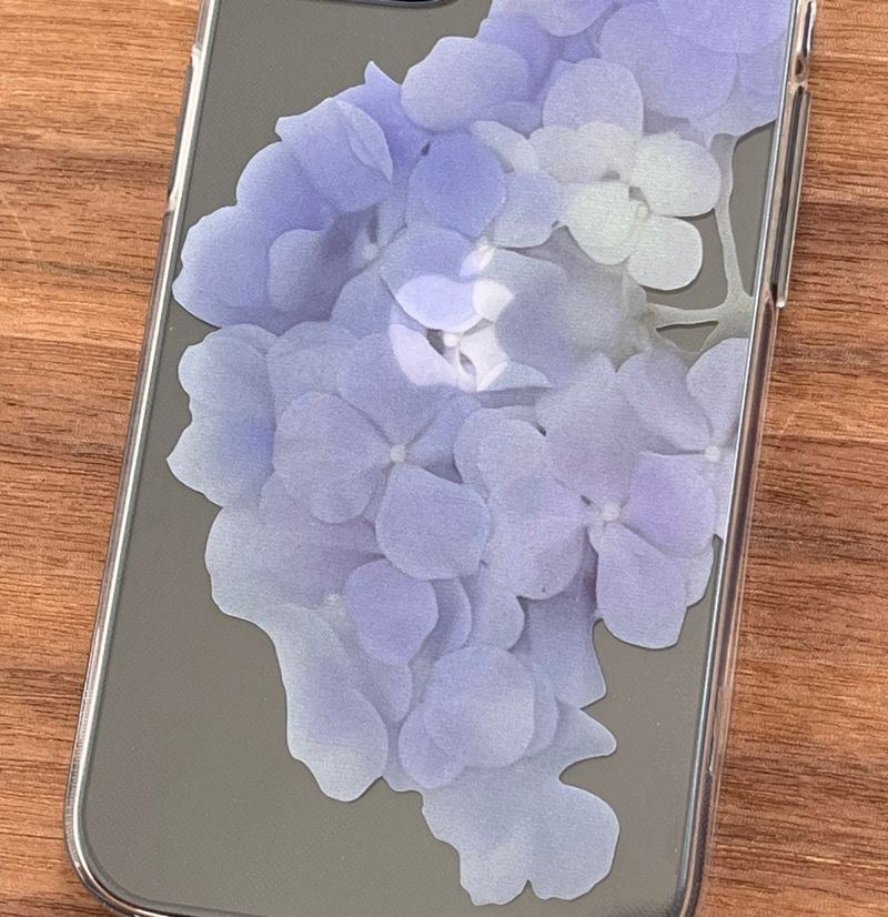 pressed flowers : hydrangea