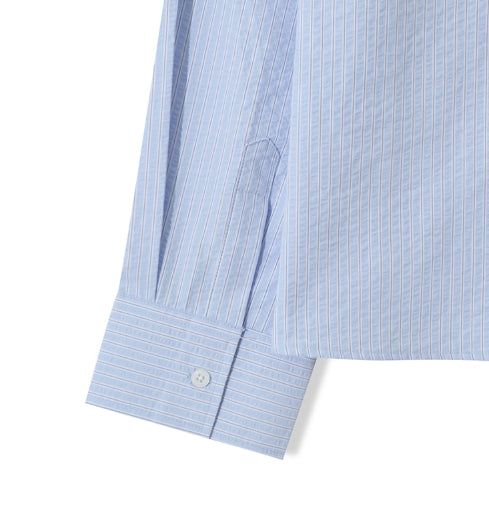 Drawing Stripe Crop Shirt