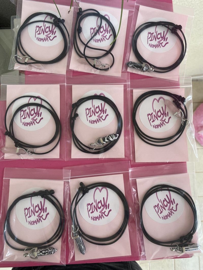 PINCU BOX (random item)