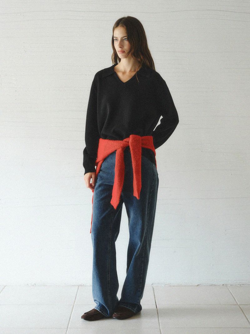SERIN v-neck collar wool knit