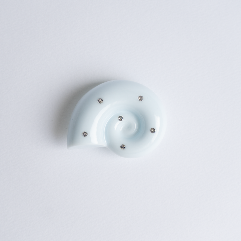 Ammonite Tok Standard_ Soft Blue