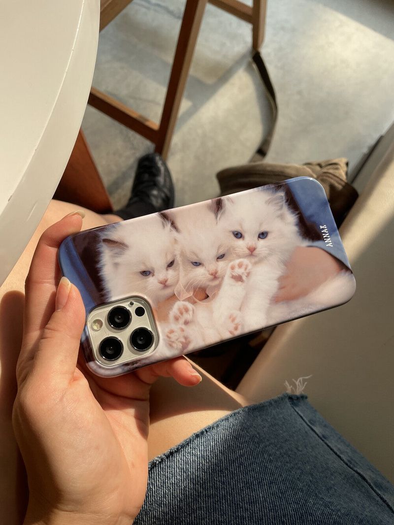 [three kitty sisters hard case]