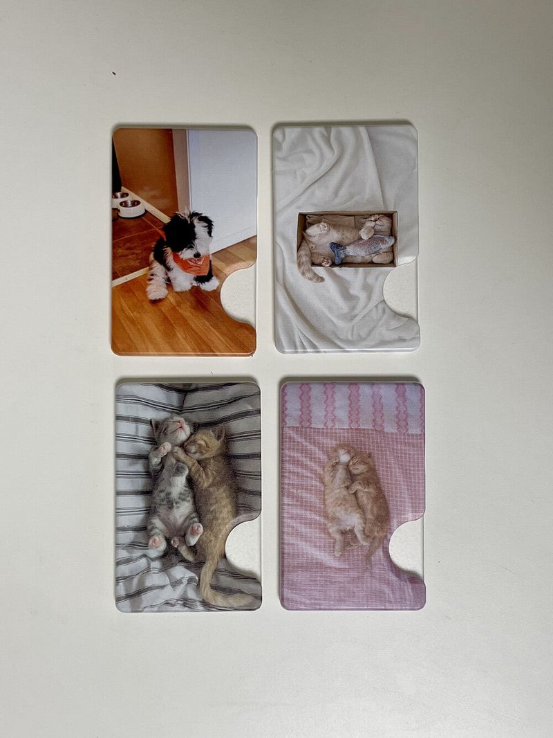 [cozy box kitty magsafe cardslot]
