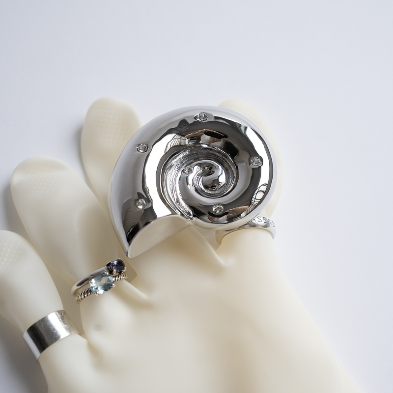 Ammonite Tok MagSafe_ Chrome