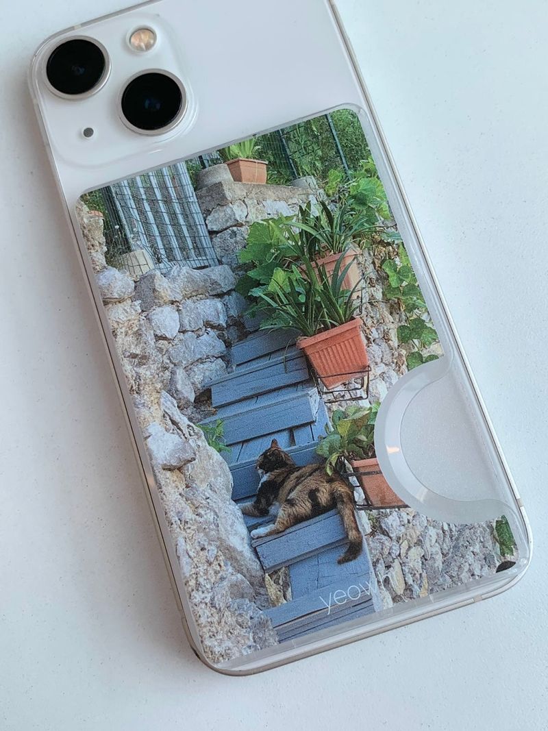 [Magsafe] cat on the steps in Europe cardslot case