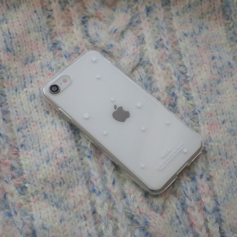 snowy case.