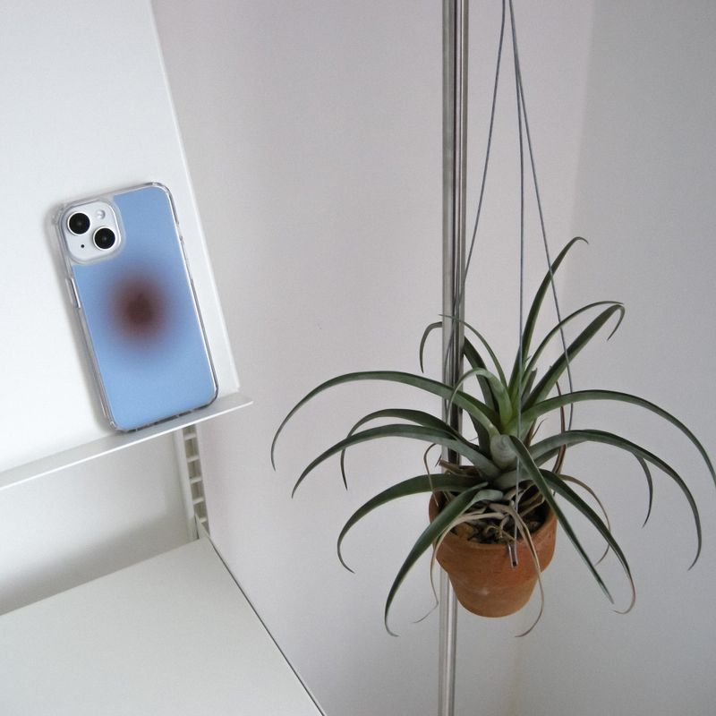 Mocha Blue (jelly hard case)