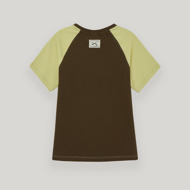Brown/Olive Raglan T-Shirt