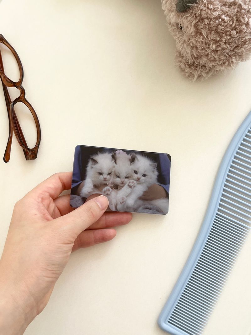 [three kitty sisters magsafe cardslot]