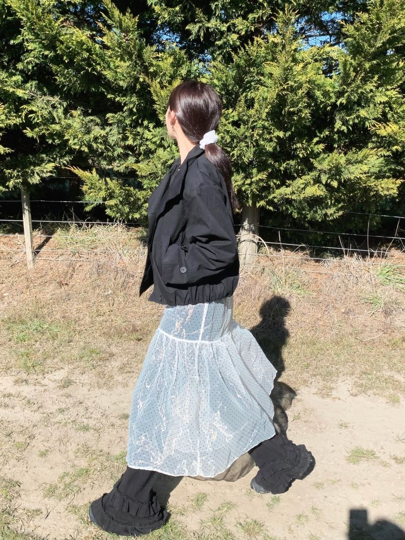 Chiffon See-Through Layered Skirt (1c)