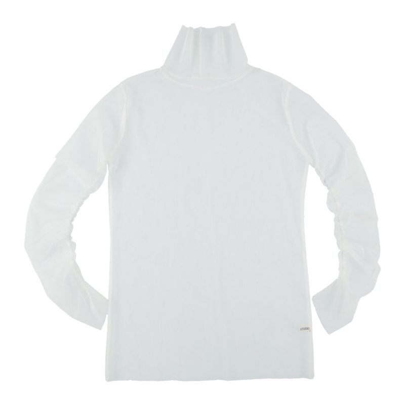 sheer mesh turtleneck