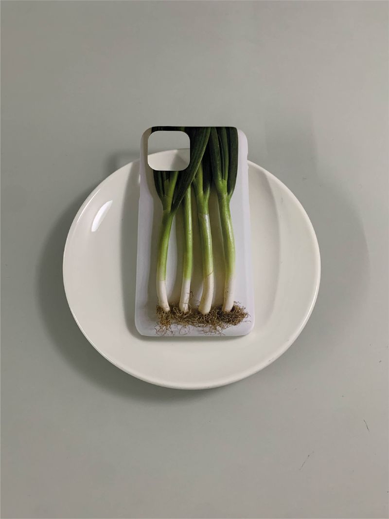 Leek case - jelly hard