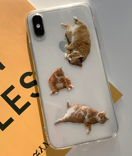 Street K cat case