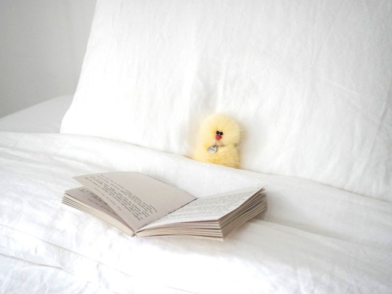 Cosymosy Mini Bird Keyring - Lemon