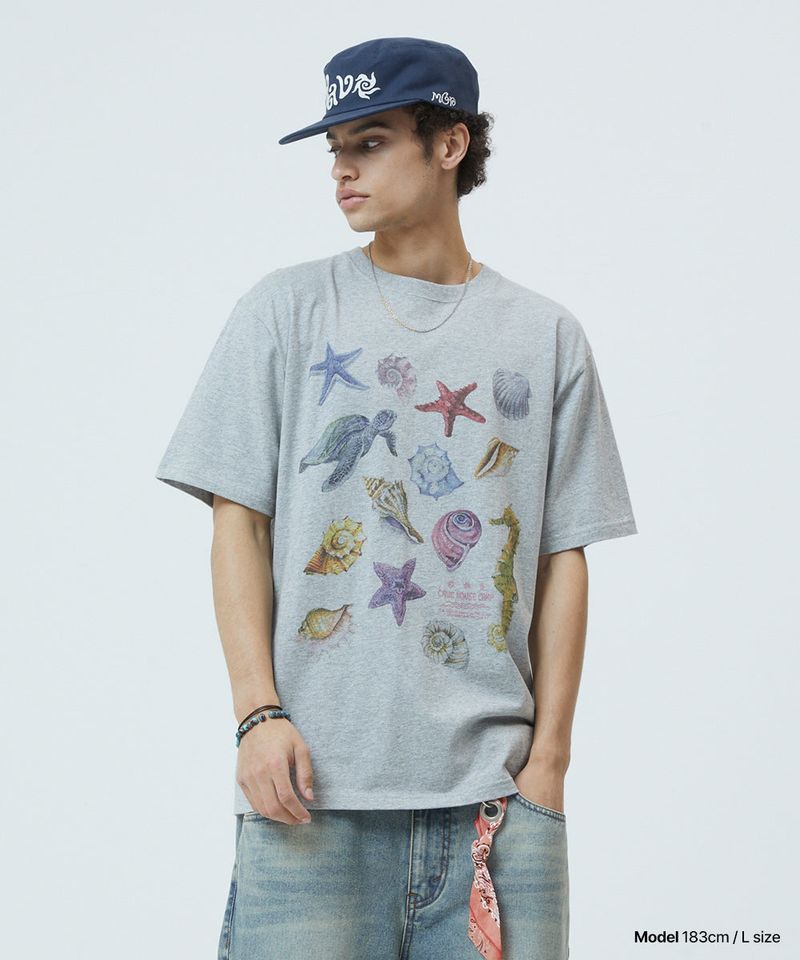 SEA SHELLS TEE